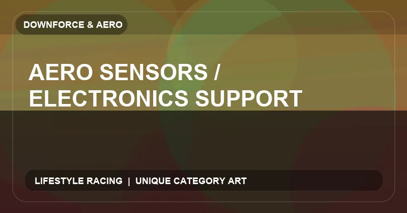 Aero Sensors / Electronics Support